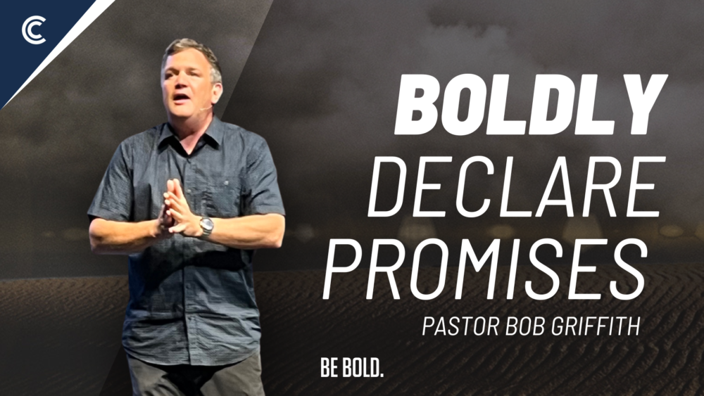 Boldly Declare Promises Image