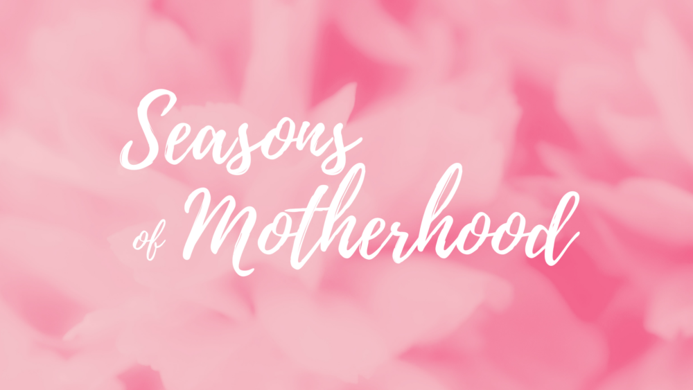 Seasons of Motherhood Image
